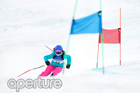 _DSC4753-2