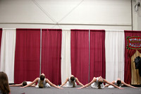 March 29, 2015 Applause Dance Academy - Family Fun Expo