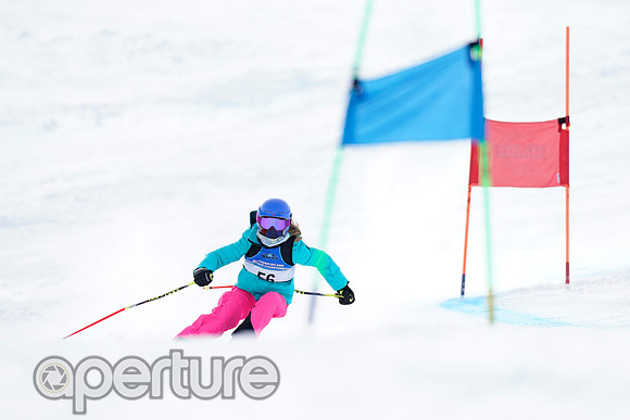 _DSC4751-2