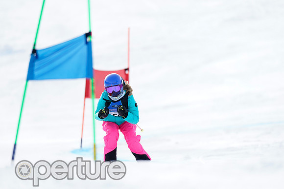 _DSC4764-2