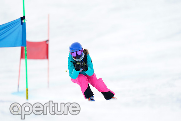 _DSC4772-2