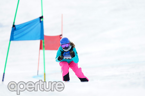 _DSC4766-2