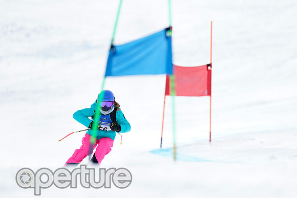 _DSC4756-2