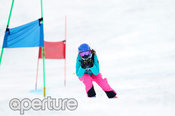 _DSC4769-2