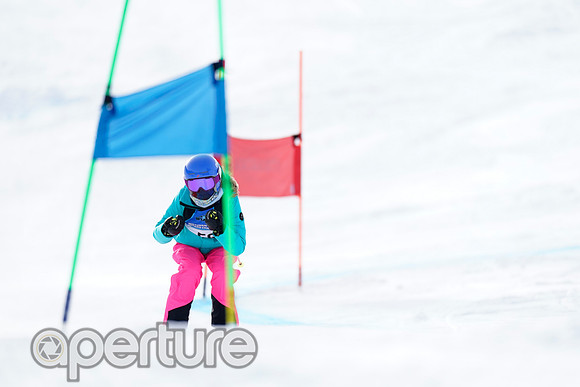 _DSC4761-2
